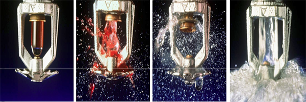 Thumbnail Image 1